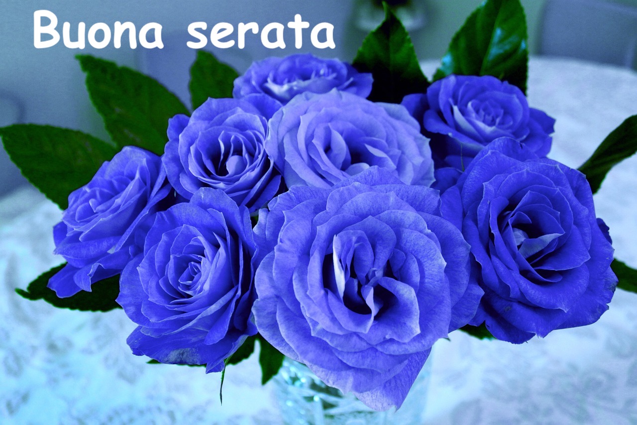 immagini e foto di buona serata con le rose di colore blu